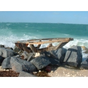 Ashore