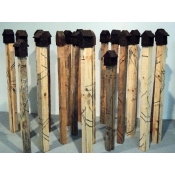 Little Houses on Posts