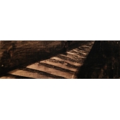 Nightwalk