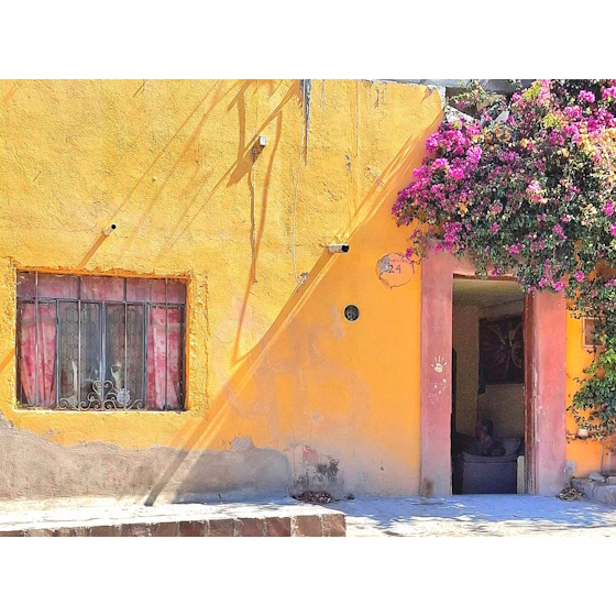 Casa y Mur